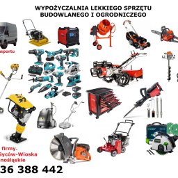 MONEDERO WIOLETA CHOLEWA