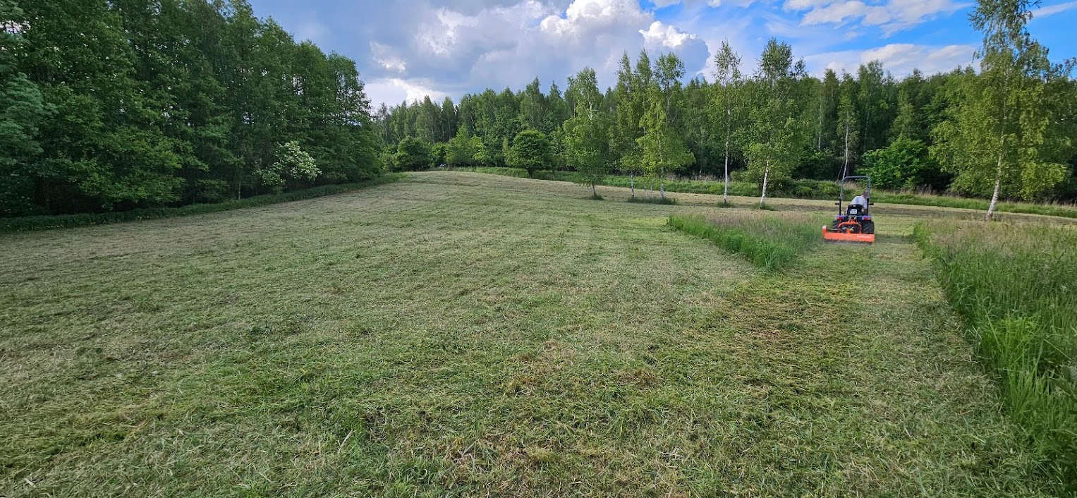 Rozległy trawnik po skoszeniu, z widocznym traktorkiem do koszenia trawy w oddali, otoczony drzewami i zaroślami, z wyraźnym śladem koszenia i pozostałościami trawy.