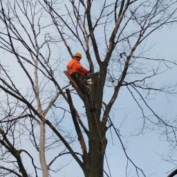 Marcin Jackowski - Ogrody Gardeja