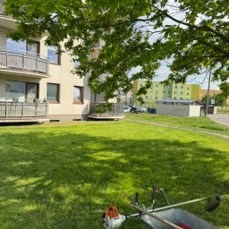 Koszenie trawy Jordanów 3