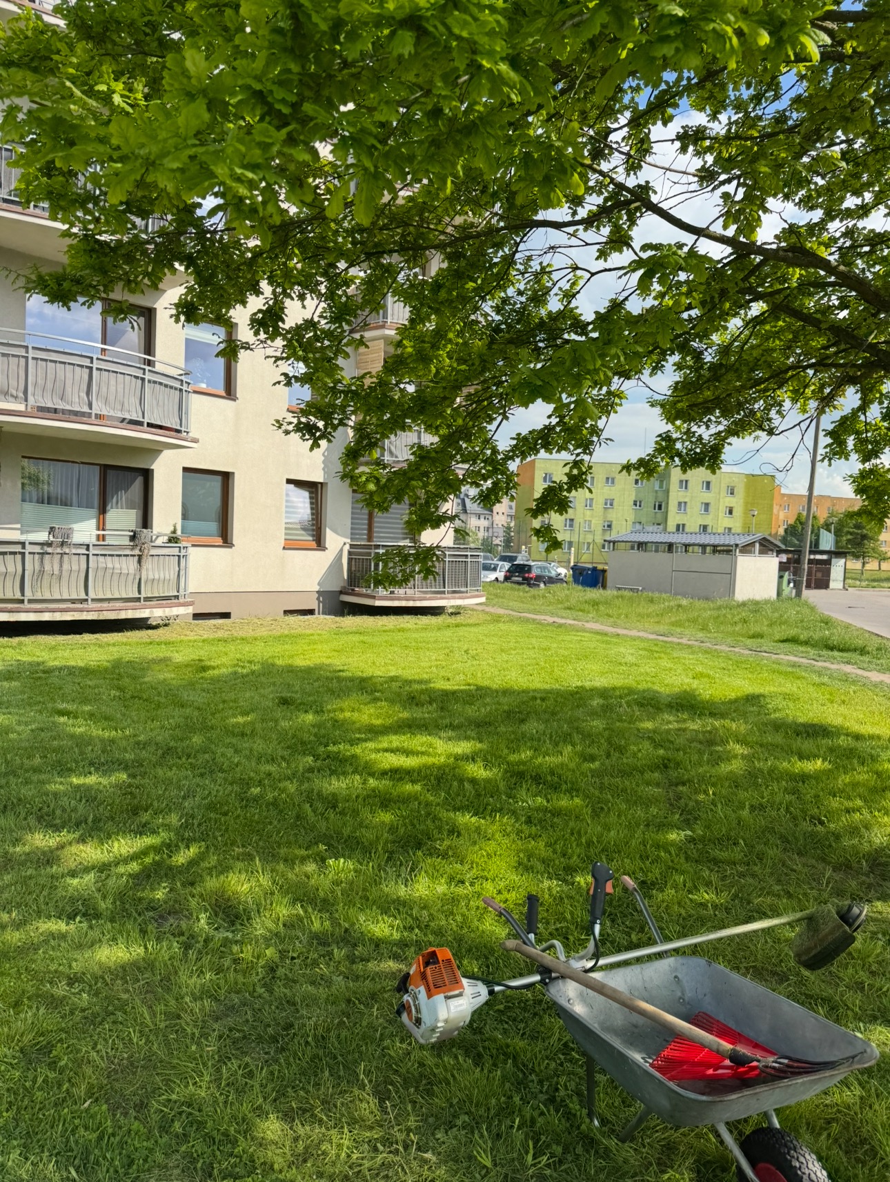 Kosiarka spalinowa i taczka z grabiami na trawniku przed blokiem mieszkalnym, w tle zieleń miejska i inne budynki. Słoneczny dzień.
