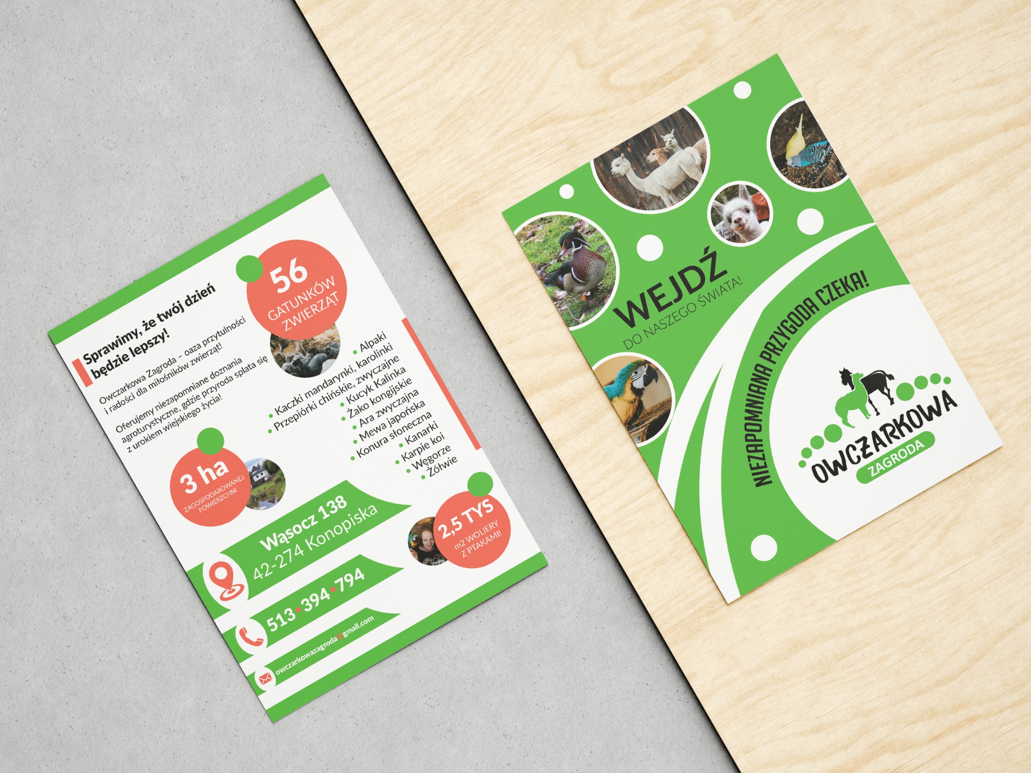Ulotka reklamowa Owczarkowej Zagrody z informacjami o 56 gatunkach zwierząt, powierzchni 3 ha i wolierach dla ptaków, leżąca na drewnianym blacie
