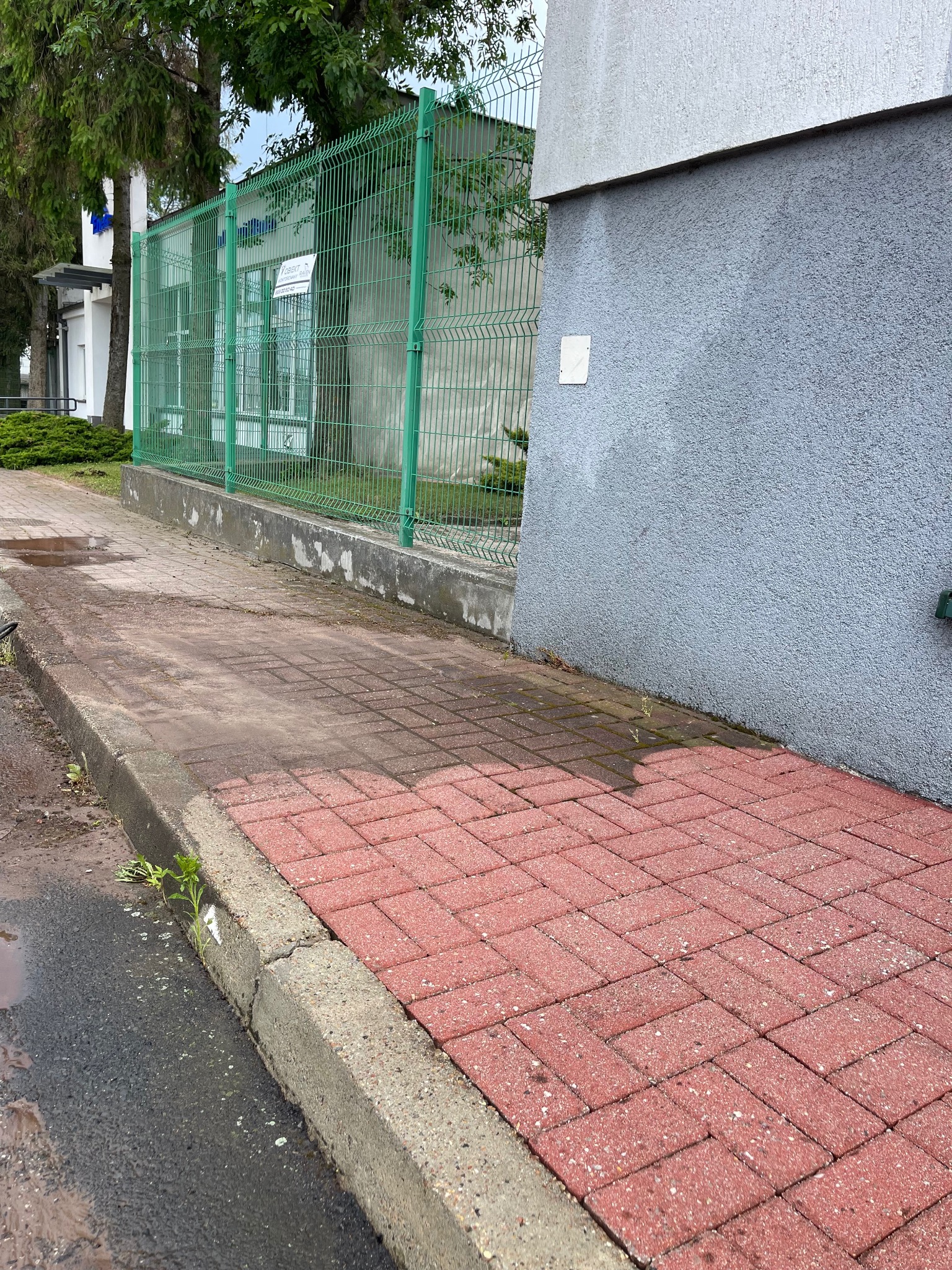 Czerwona kostka brukowa ułożona w jodełkę, częściowo mokra, z widocznymi śladami zabrudzeń, obok szarej ściany budynku i zielonego ogrodzenia.