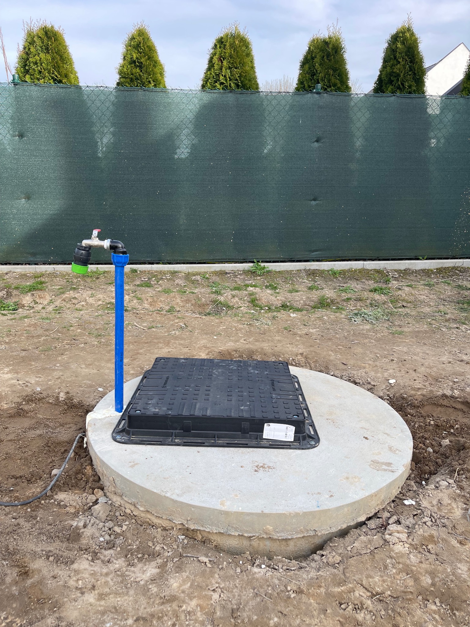 Studnia kręgowa z niebieską rurą doprowadzającą wodę i czarną pokrywą, otoczona ziemią i zielonym ogrodzeniem z tujami w tle.