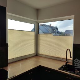 Moskitiery Spiczyn 1