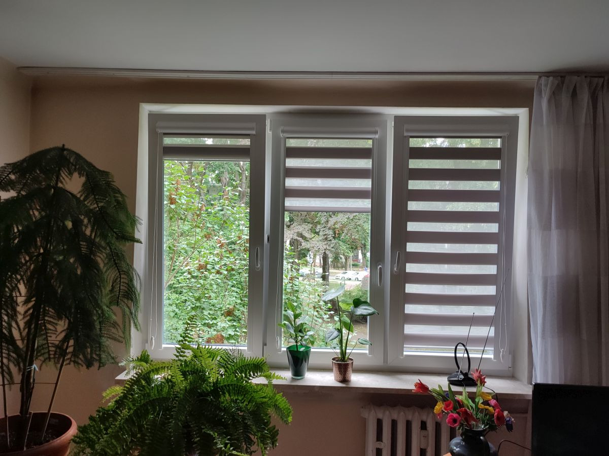Trzy okna z roletami dzień-noc w kolorze szaro-białym, widok na zieleń za oknem, na parapecie kwiaty doniczkowe i bukiet kwiatów w wazonie.