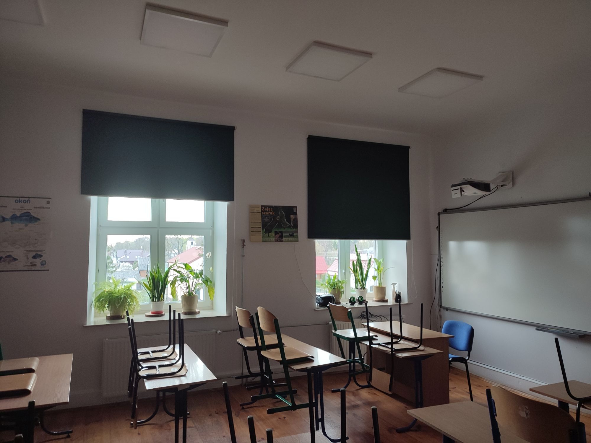 Wnętrze klasy szkolnej z dwoma oknami, zaciągniętymi roletami w kolorze ciemnoszarym, na parapetach widoczne rośliny doniczkowe, puste ławki i krzesła. Na ścianie tablica interaktywna i projektor.