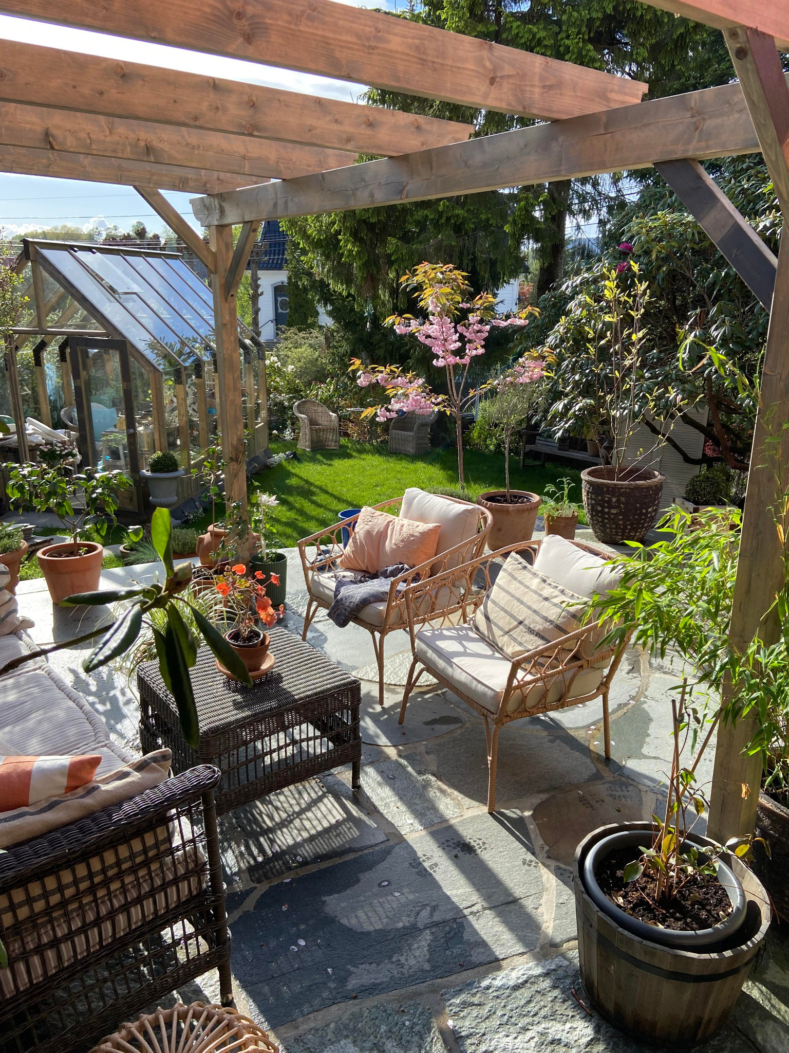 Zadaszony taras z drewnianą pergolą, rattanowymi meblami wypoczynkowymi i kamienną podłogą w słoneczny dzień. W tle widoczny ogród z szklarnią i kwitnącym drzewem.