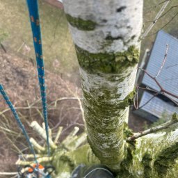 MARDAR Martyna Kujawa - Profesjonalne Malowanie Pokryć Dachowych Grójec