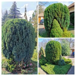 ZEN GARDEN ŁUKASZ GUMKOWSKI - Profesjonalne Piękne Ogrody Warszawa