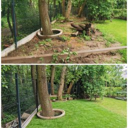 ZEN GARDEN ŁUKASZ GUMKOWSKI - Dwuobrazowe ujęcie: teren przed i po założeniu trawnika z rolki, drzewa z betonowymi obrzeżami, ogrodzenie panelowe. Kontrast zieleni i uporządkowania.