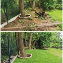 Dwuobrazowe ujęcie: teren przed i po założeniu trawnika z rolki, drzewa z betonowymi obrzeżami, ogrodzenie panelowe. Kontrast zieleni i uporządkowania.