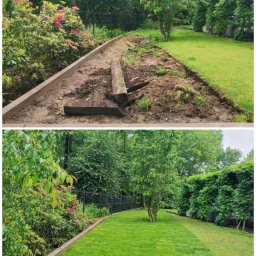 ZEN GARDEN ŁUKASZ GUMKOWSKI - Zdjęcie 'przed i po' z zakładania trawnika z rolki. W górnej części przygotowany teren, a w dolnej ułożona, soczysta zieleń trawy. Widoczne obrzeża i bujna roślinność.