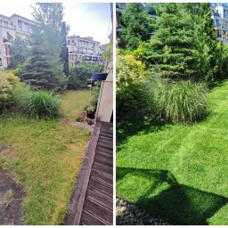 ZEN GARDEN ŁUKASZ GUMKOWSKI - Solidna Pielęgnacja Drzew Warszawa