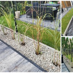 Trawa z rolki Warszawa 2