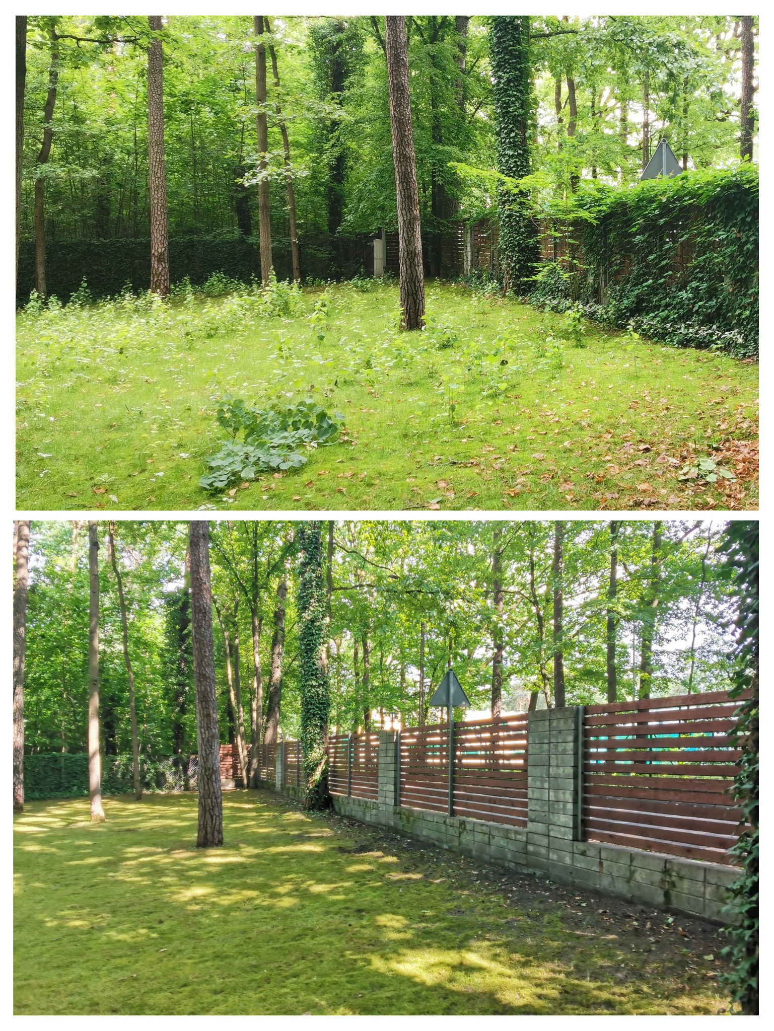 Porównanie terenu przed i po wyrównaniu oraz budowie nowego ogrodzenia z drewnianymi przęsłami i betonowymi słupkami, widok na zalesiony ogród.