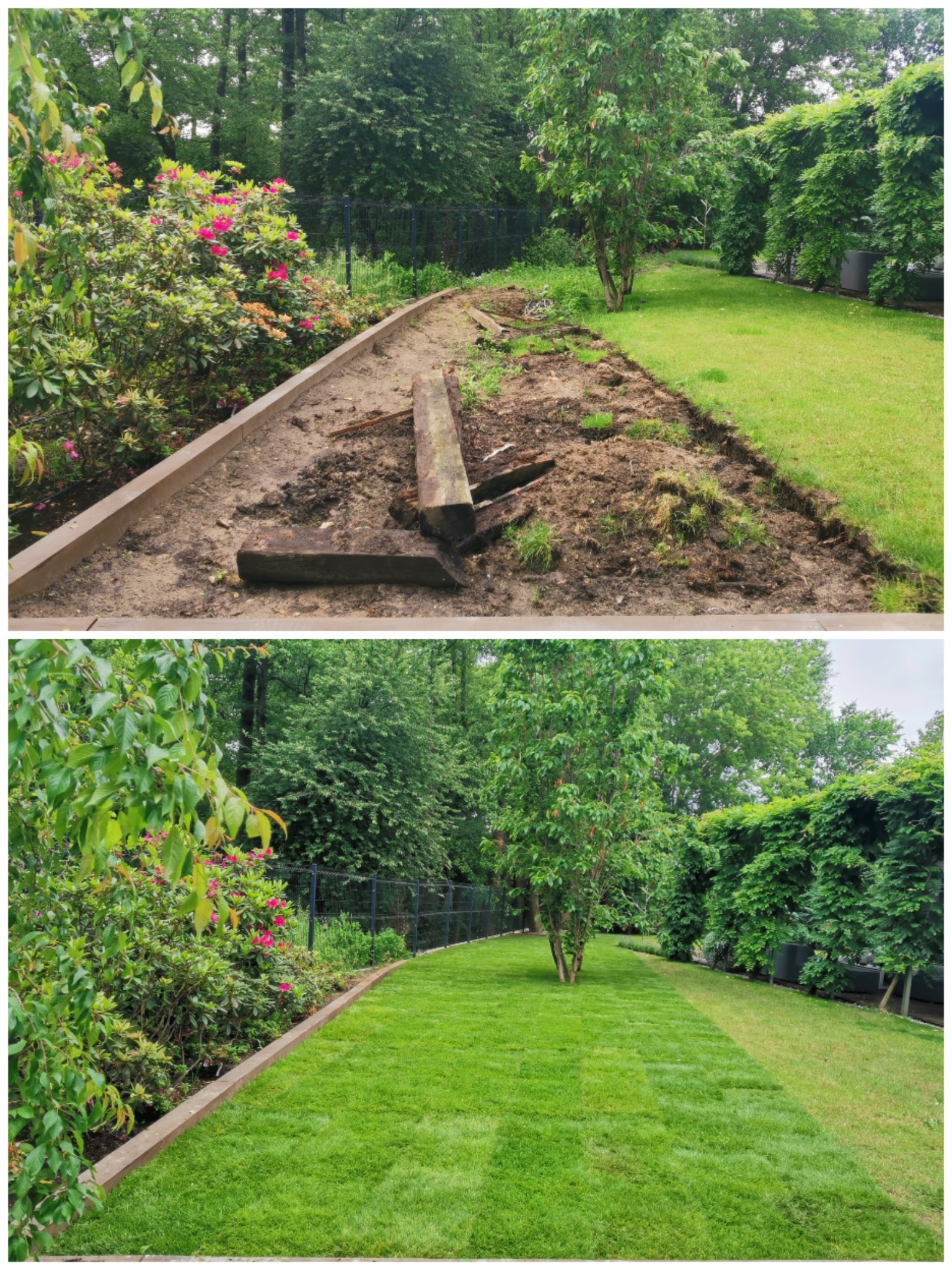 Zdjęcie 'przed i po' z zakładania trawnika z rolki. W górnej części przygotowany teren, a w dolnej ułożona, soczysta zieleń trawy. Widoczne obrzeża i bujna roślinność.
