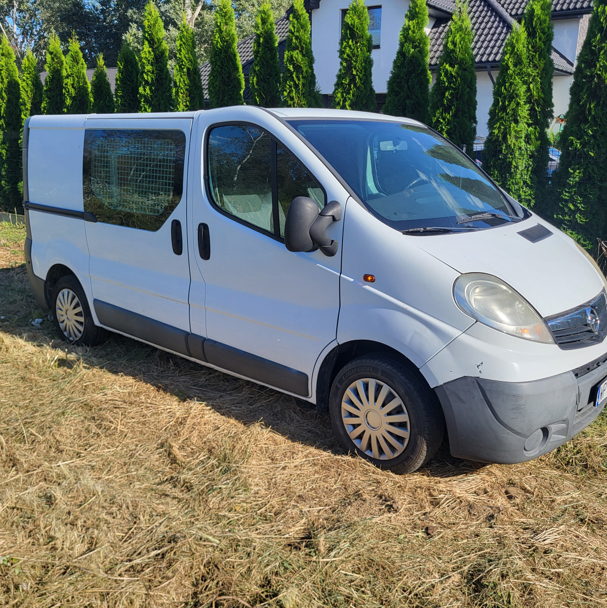 Biały bus dostawczy Opel Vivaro zaparkowany na wyschniętej trawie, z kratą zabezpieczającą tylne okno i rzędem zielonych tui w tle.