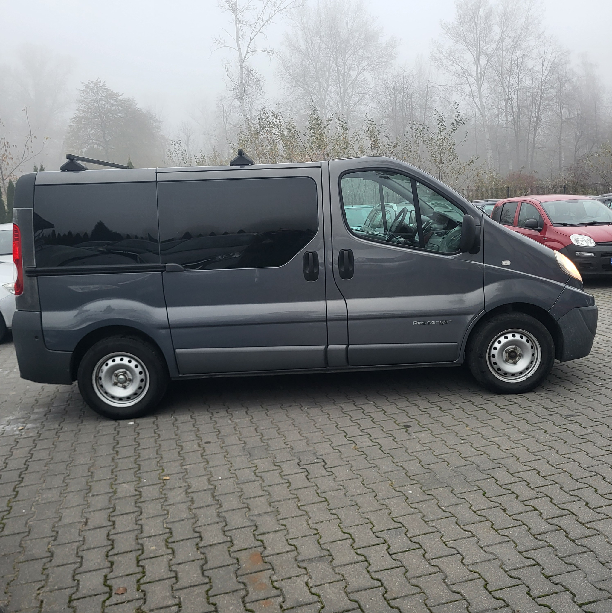 Szary van z relingami dachowymi zaparkowany na kostce brukowej w pochmurny dzień, widoczne inne samochody w tle.