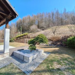 Wycinka drzew Kraków 4