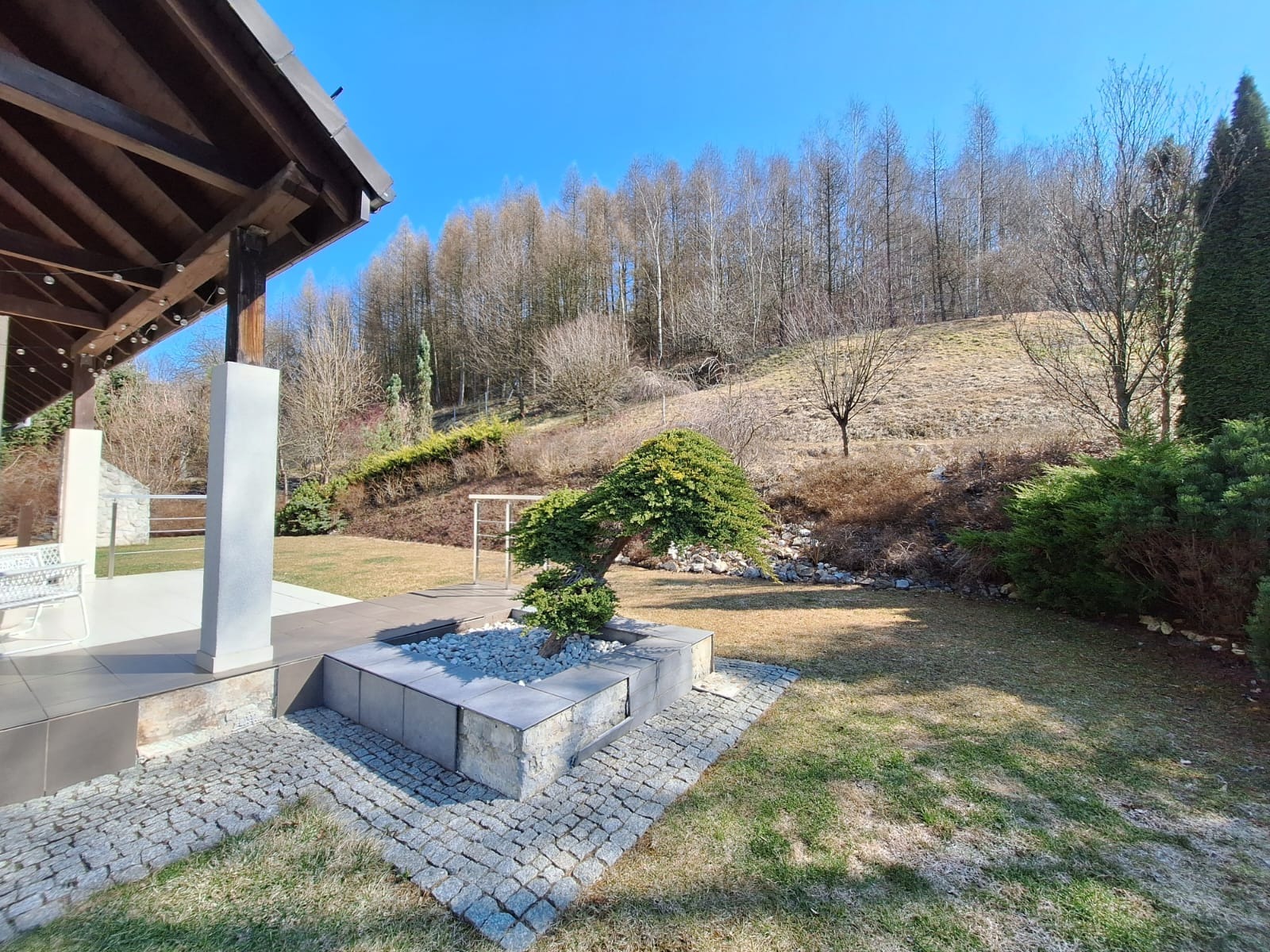 Uformowany niski krzew iglasty w betonowej donicy z białymi kamieniami, na tle trawnika i wzgórza z drzewami liściastymi. Obok taras z kostki brukowej.