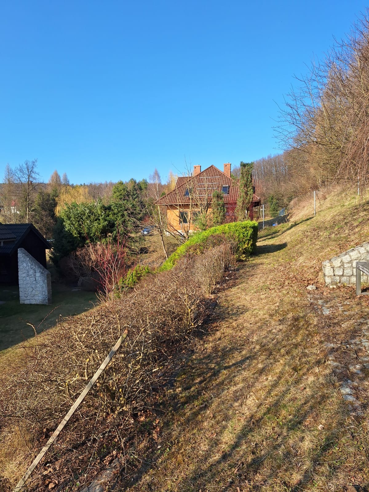 Jesienny ogród ze strzyżonym żywopłotem, domem w tle i wzgórzem, w słoneczny dzień. Widoczna sucha trawa i drzewa bez liści.