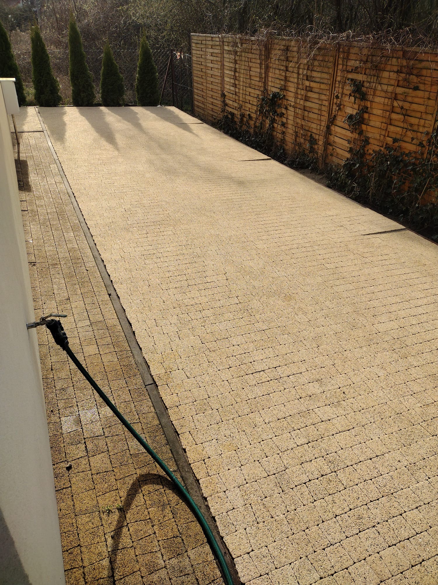 Beżowa kostka brukowa na podjeździe, widoczny wąż ogrodowy, drewniane ogrodzenie z bluszczem i rząd wysokich tuj w tle.