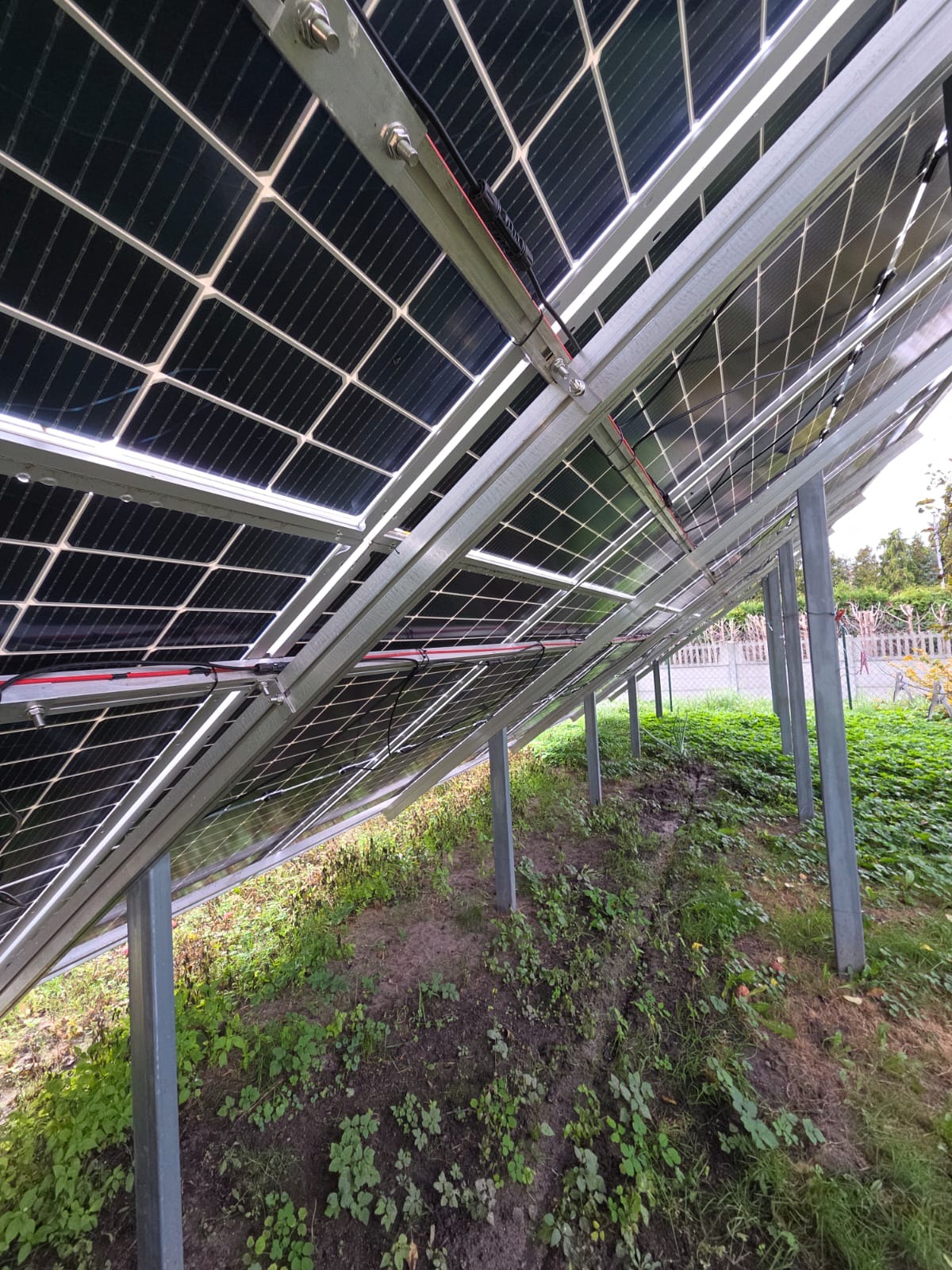 Nietypowy widok od spodu na panele fotowoltaiczne zamontowane na metalowej konstrukcji, z widocznym podłożem porośniętym zielenią i częścią ogrodzenia w tle.