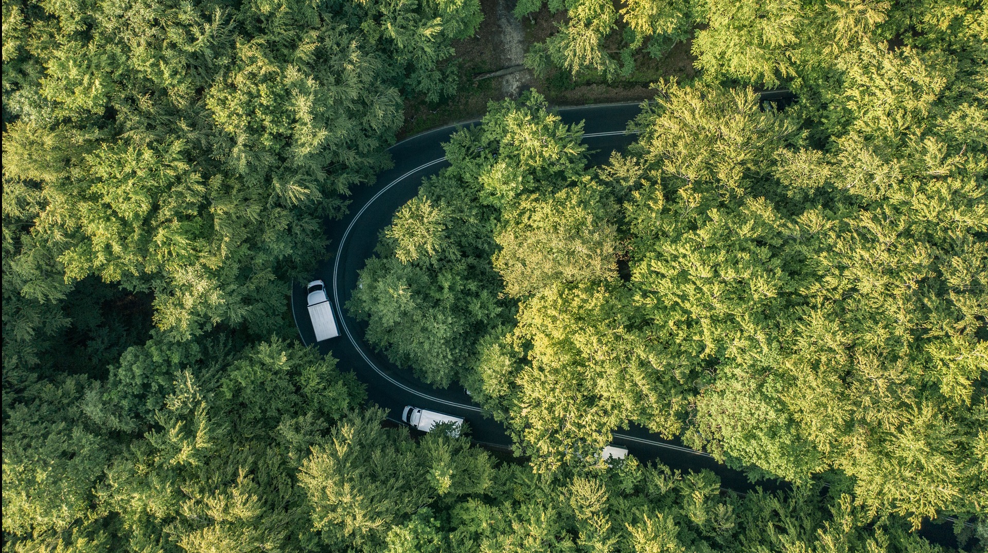 Widok z lotu ptaka na krętą drogę przez las, po której jadą trzy białe samochody dostawcze.