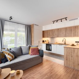 Patrycja Kaczmarek Podwójna Agentka - Jasne, nowoczesne wnętrze mieszkania z szarą sofą, drewnianą podłogą i kuchnią z drewnianymi akcentami, oświetloną lampami sufitowymi.