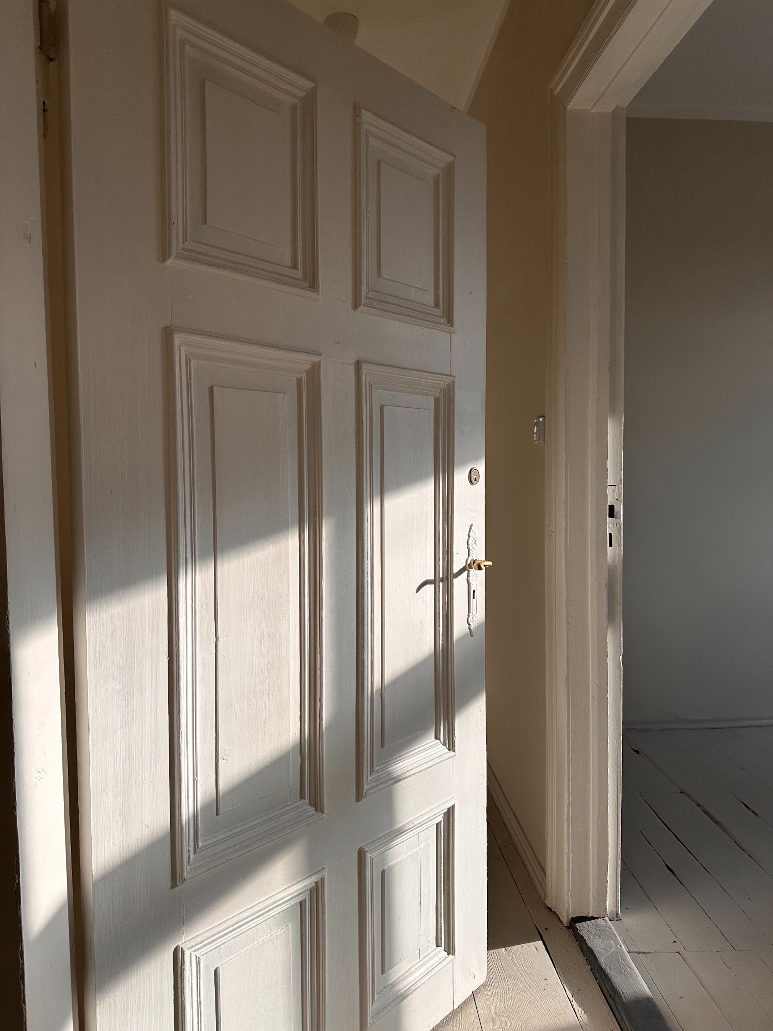 Otwarta, biała, drewniana, wewnętrzna, kasetonowa, częściowo oświetlona drzwiami w pustym pokoju z bieloną podłogą.