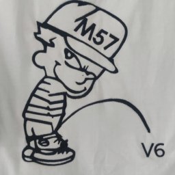 Ewelina Mularczyk Studio Personalizacji Odzieży - Biała koszulka z czarnym nadrukiem przedstawiającym kreskówkową postać chłopca w czapce z napisem M57, sikającego na napis V6.