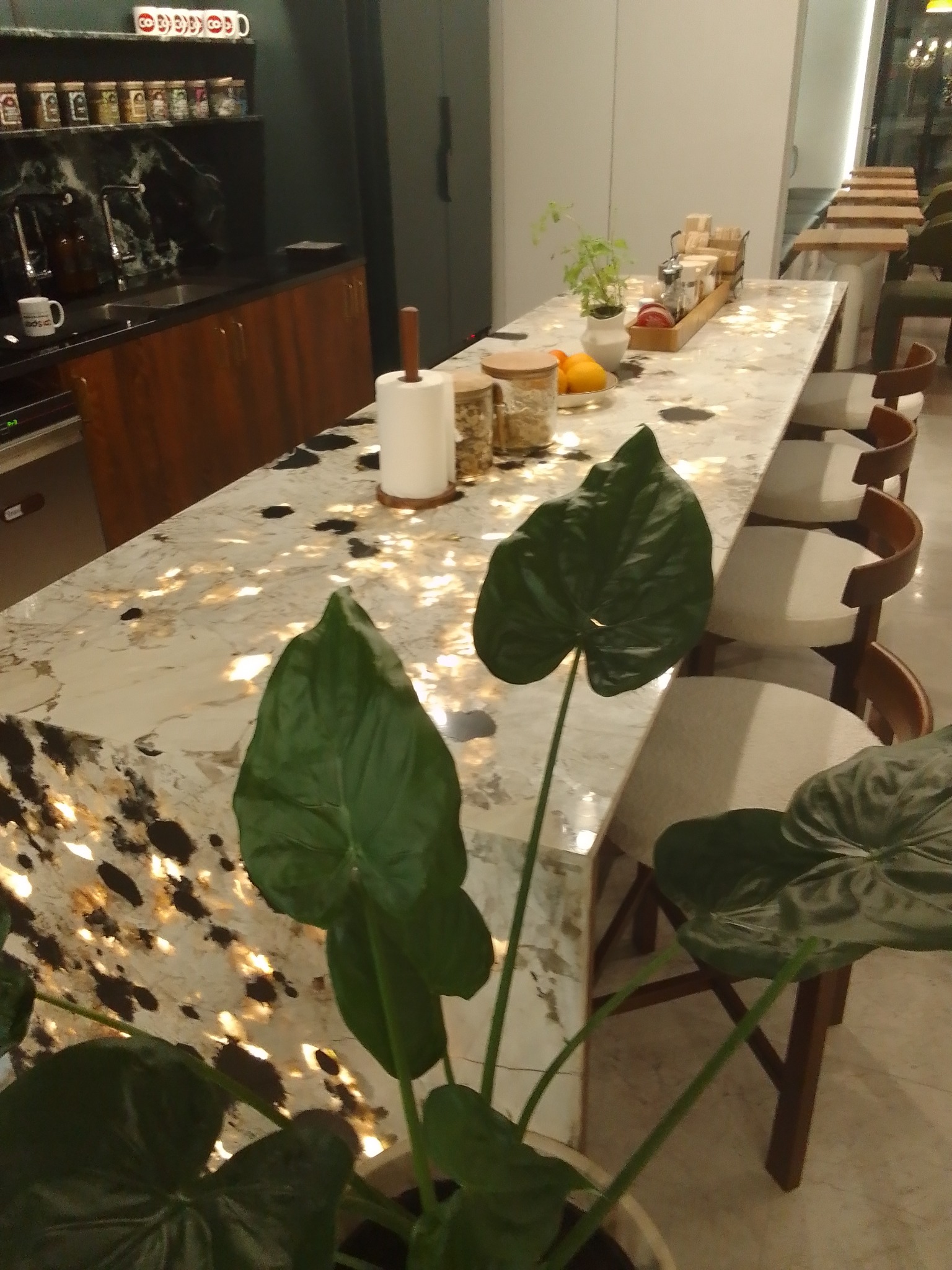 Błyszczący blat kamienny w kuchni, z widocznymi żyłami i wzorami, uzupełniony o rośliny doniczkowe i akcesoria kuchenne. W tle krzesła barowe.