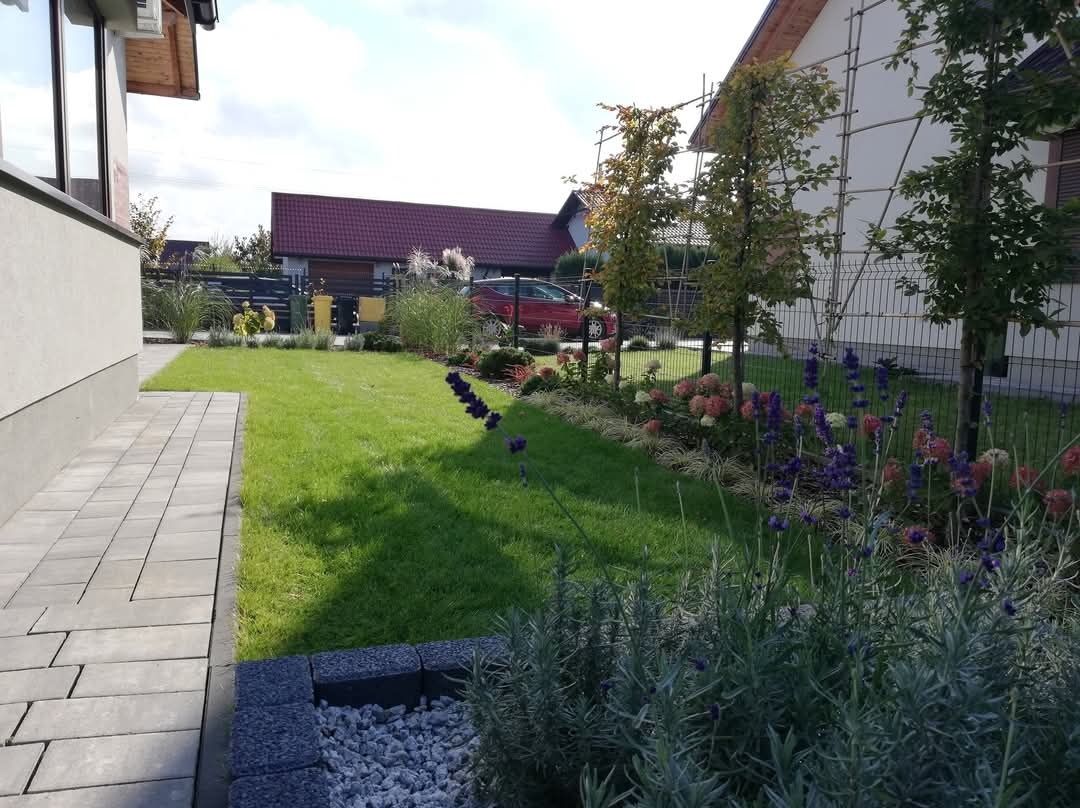 Zadbany trawnik i rabaty kwiatowe w Rzeszowie, z kostką brukową i młodymi drzewkami przy ogrodzeniu.