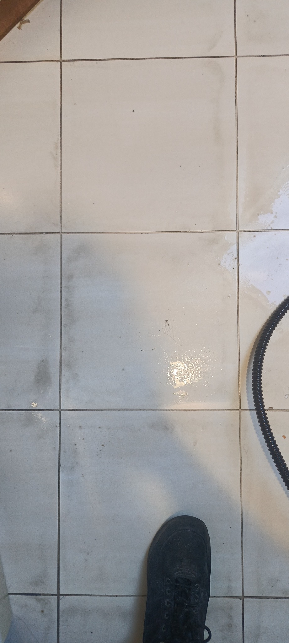 Czyszczenie podłogi z płytek: widoczny fragment buta osoby czyszczącej, brudne i częściowo umyte płytki oraz wąż prawdopodobnie od odkurzacza parowego.