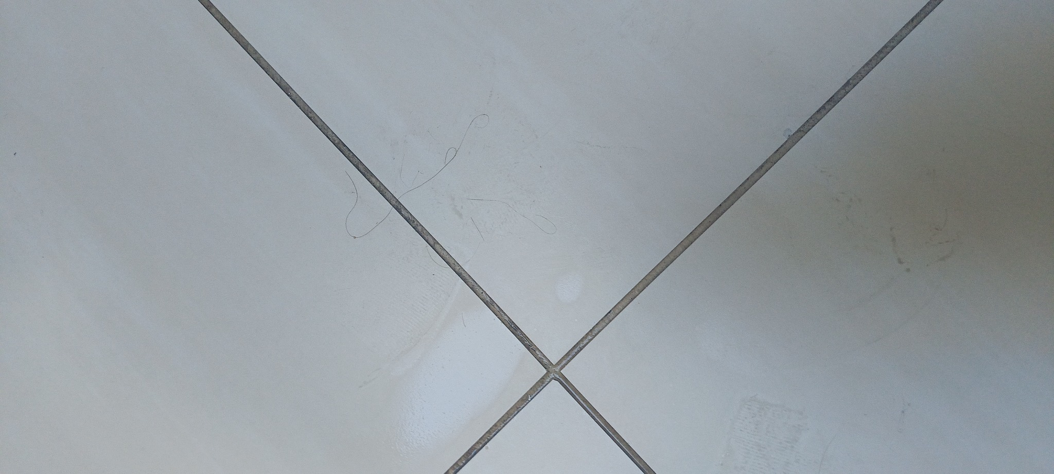 Białe płytki podłogowe z widocznymi zabrudzeniami i kilkoma włosami, ułożone w regularną siatkę z ciemnymi fugami.