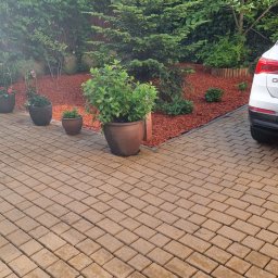 Wycinka drzew Katowice 4