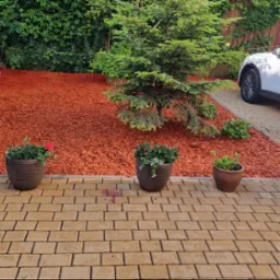 Uporządkowany ogród z drzewem iglastym, rabatą wysypaną korą i trzema donicami z kwiatami, widok z poziomu kostki brukowej.