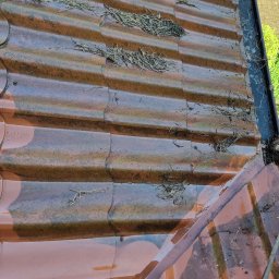 GREEN MASTER MYKHAILO BURDOVSKYI - Czerwona dachówka pokryta igliwiem i drobnymi gałązkami, widoczny fragment buta osoby stojącej na dachu, rynna z zalegającymi liśćmi.