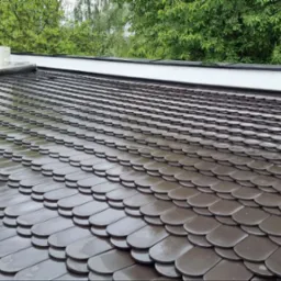 Dach pokryty ciemnymi, błyszczącymi dachówkami w kształcie łusek, z widocznym fragmentem klimatyzatora i zielenią w tle.