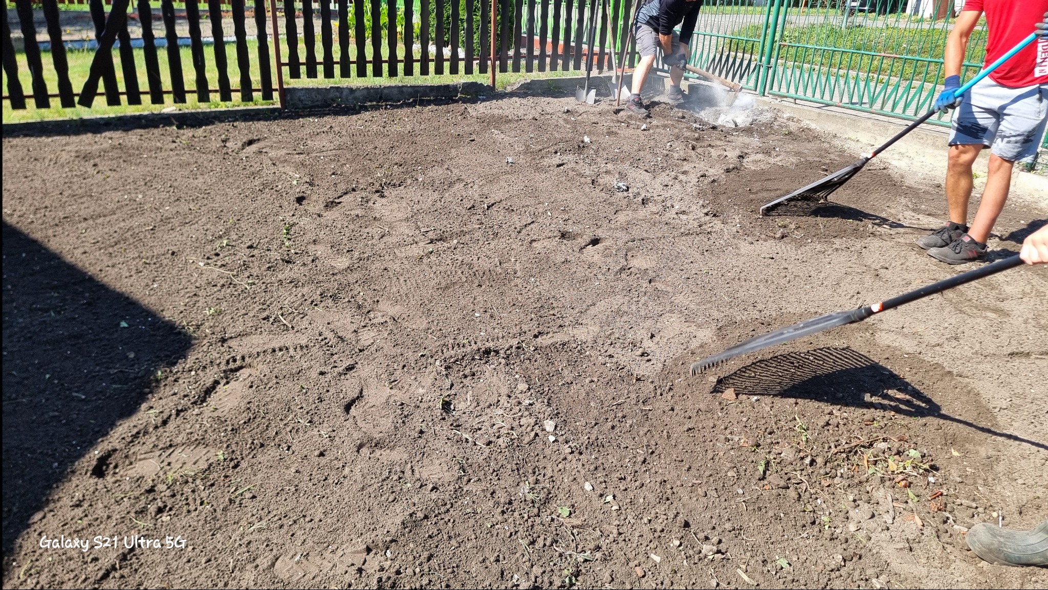 Przygotowanie podłoża pod trawnik: wyrównywanie ziemi grabiami i usuwanie resztek gruzu, widoczny fragment ogrodzenia w tle.