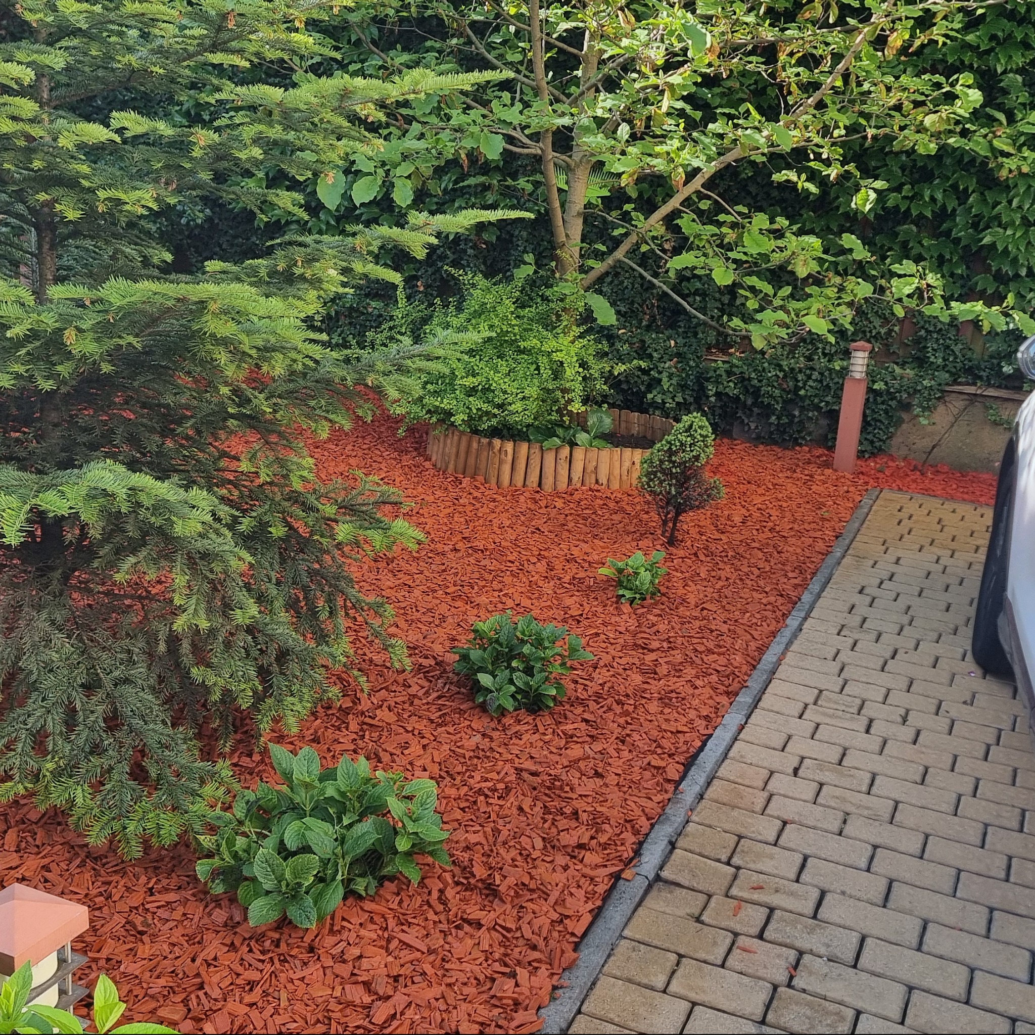 Ogród z roślinami iglastymi i liściastymi, wyściółkowany korą w kolorze ceglastym, obrzeże z drewnianych palików, kostka brukowa obok.