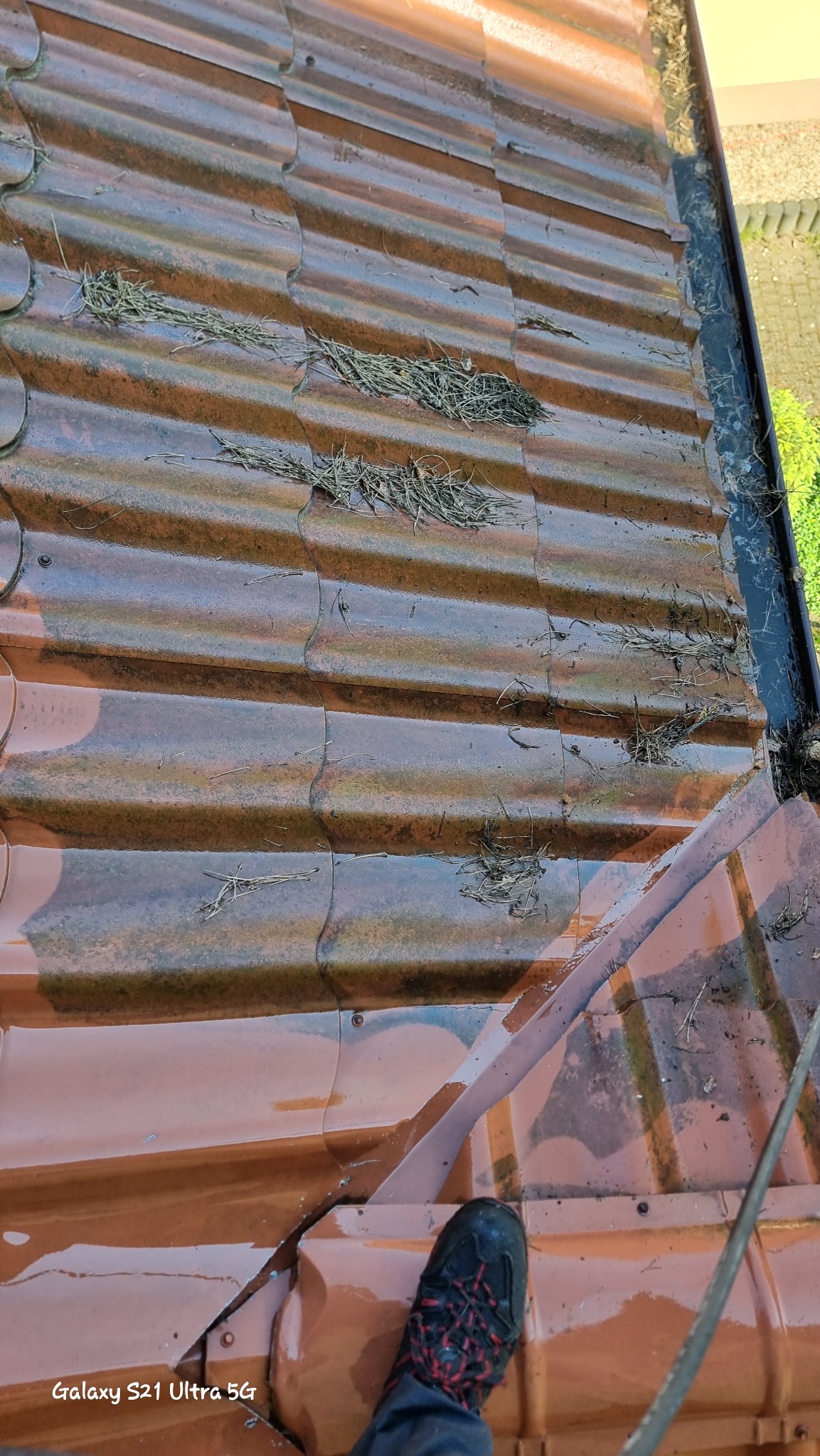 Czerwona dachówka pokryta igliwiem i drobnymi gałązkami, widoczny fragment buta osoby stojącej na dachu, rynna z zalegającymi liśćmi.