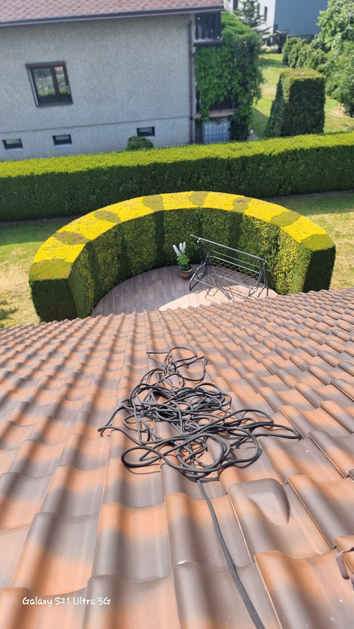 Widok z dachu na starannie przycięty żywopłot w kształcie półkola, tworzący zaciszny kącik z ławką i kwiatami, z widocznymi kablami na pierwszym planie.