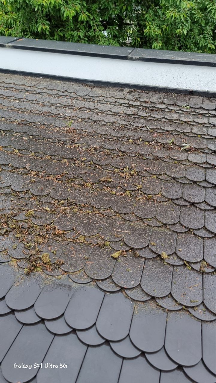 Dach pokryty ciemnymi, łuskowatymi dachówkami, zabrudzony mchem, igliwiem i liśćmi. Widoczne ślady wilgoci. W tle fragment zieleni.