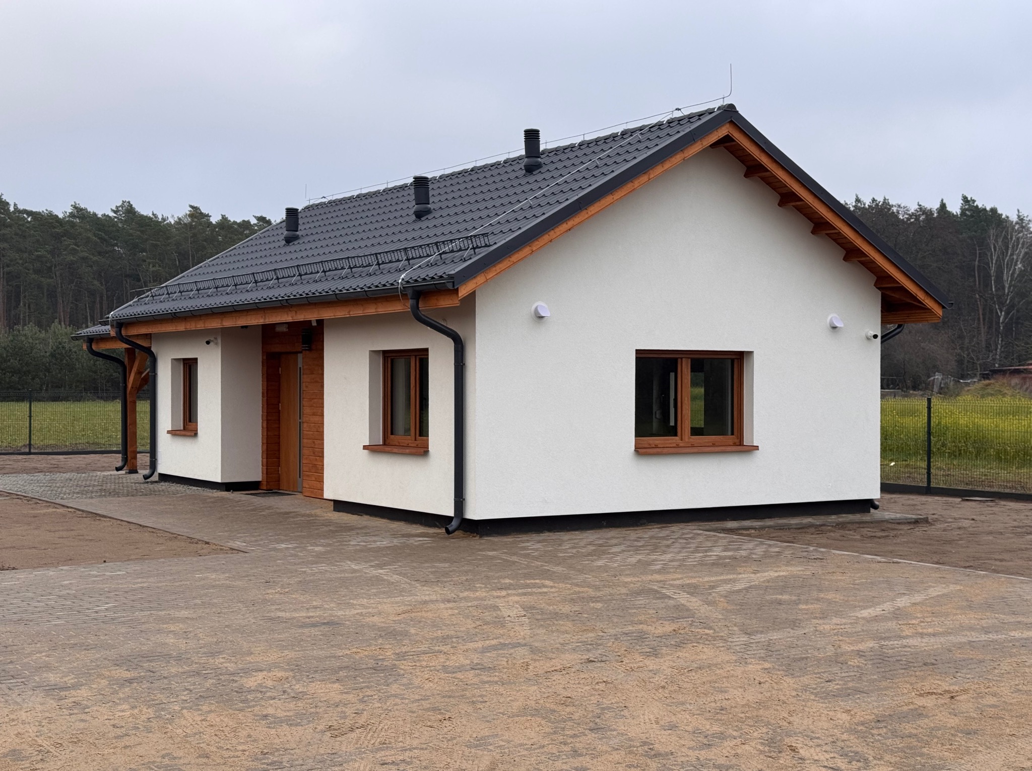 Parterowy dom jednorodzinny z białymi ścianami, brązowymi oknami i ciemną dachówką, widoczny z zewnątrz, z kostką brukową na podjeździe i lasem w tle.