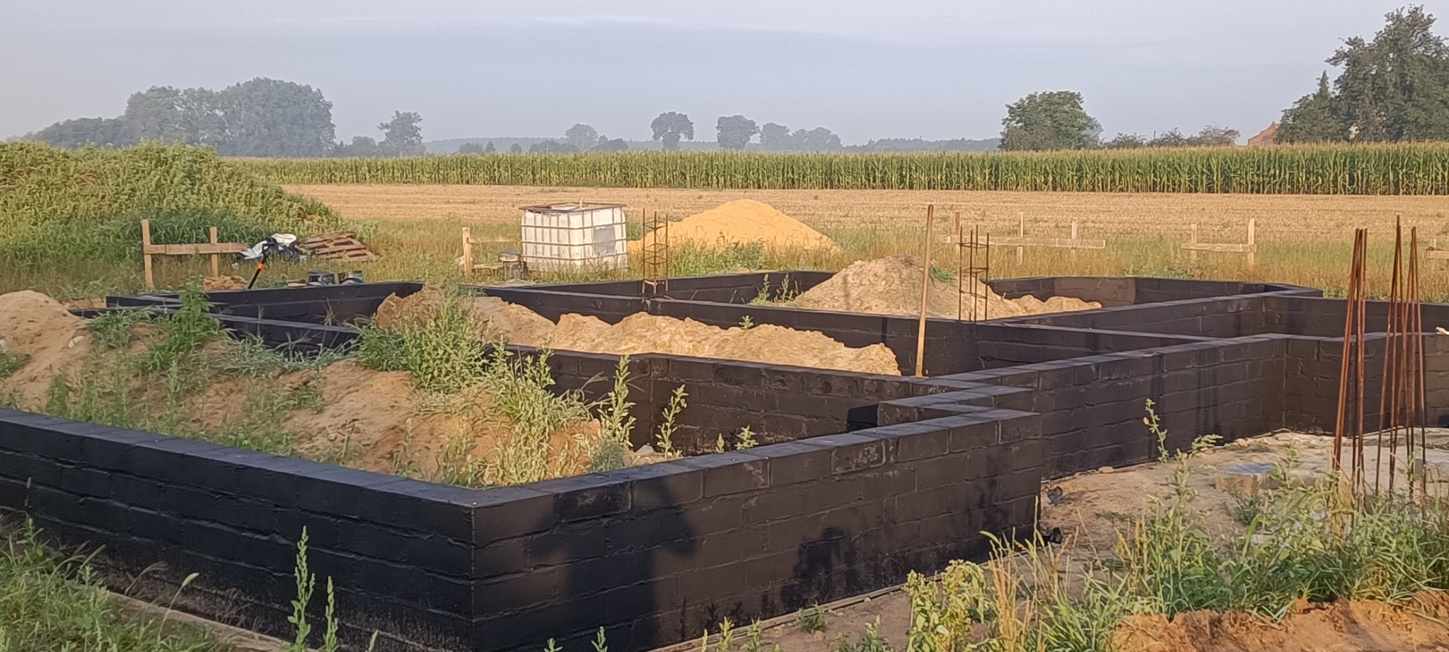 Wykopane i zabezpieczone czarną izolacją mury fundamentowe z wypełnieniem piaskiem, na tle pola kukurydzy w porannym świetle.