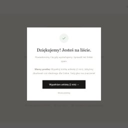 landing page dla salonmate.pl - modal po zapisie