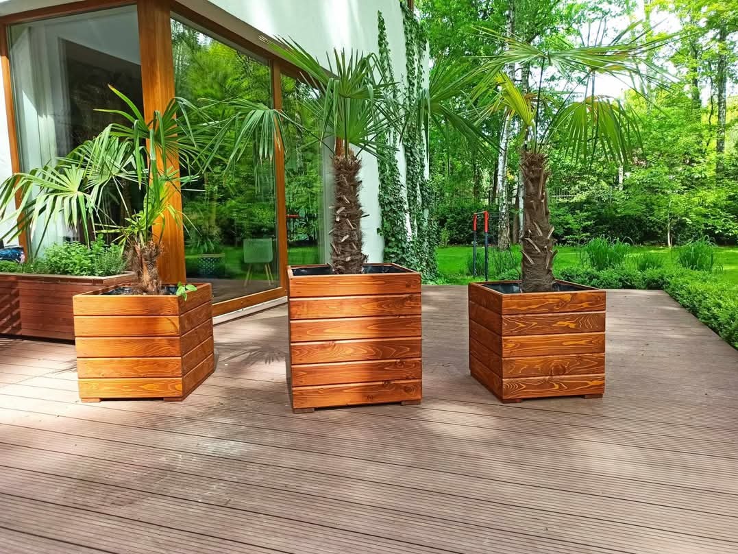 Trzy drewniane donice z palmami stojące na tarasie kompozytowym, widok na przeszklone drzwi i zielony ogród.