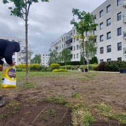 Tomas ogrody - Osoba w roboczym stroju z odblaskami otwiera żółty worek z nasionami trawy na częściowo przygotowanym gruncie, w tle nowoczesne apartamentowce z balkonami i zielonymi nasadzeniami.